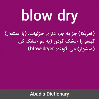 معنی blow dry